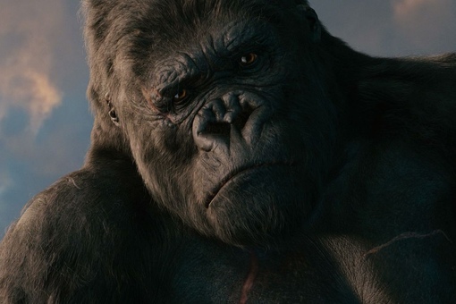 кинконг 9. кинконг 9. кинг конг 2005 против динозавра. кинконг 9. кинг конг.