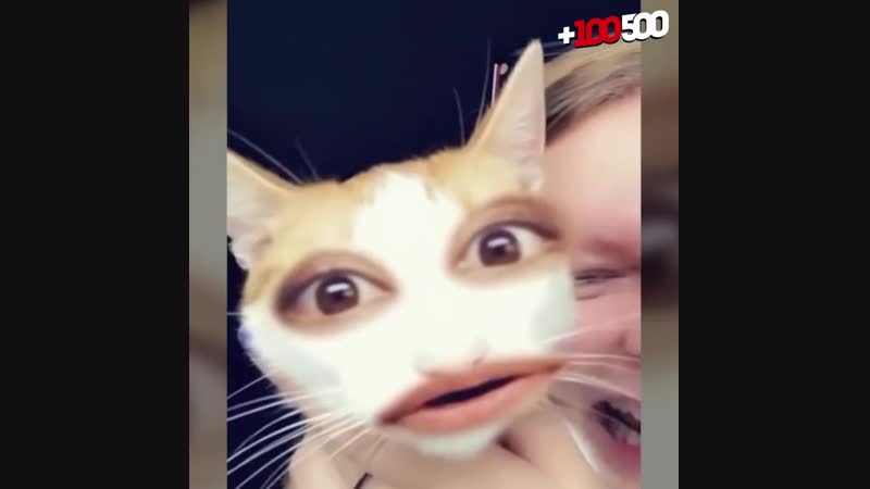 +100500 Чеширский Инста
