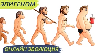 Как формировать новые нейронные связи и привычки? | Шульга расскажет об ЭПИГЕНОМЕ