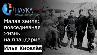 Илья Киселёв - Малая земля: повседневная жизнь на плацдарме