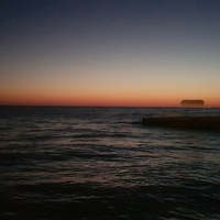 Анна Цветкова