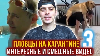ТОП-5 пловцов на карантине. 3 ЧАСТЬ. Тренировка с собакой, Путин, плавание в ванной