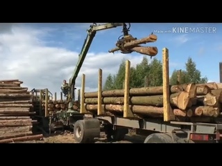 Не дадим присвоить миллионы рублей!