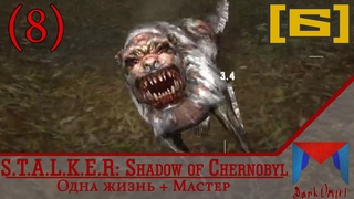 STALKER: ТЧ  - Чем дольше путь, тем тупее смерть | Одна жизнь на мастере {Малый стрим}