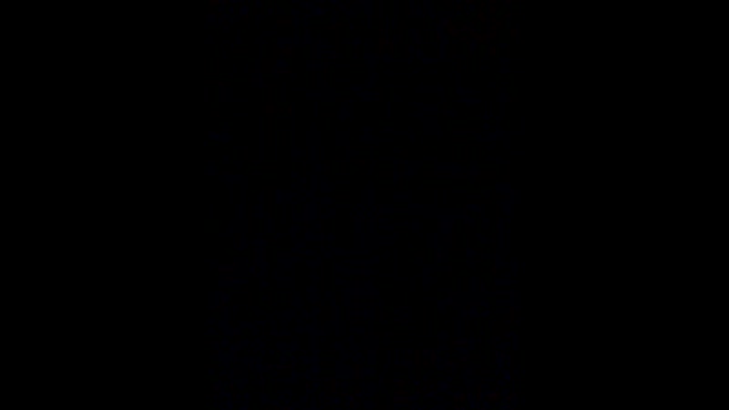 пташка