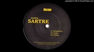 Junkie Sartre - Gotja