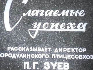 Бородулинский Совхоз • Слагаемые успеха ч. 2 • СССР