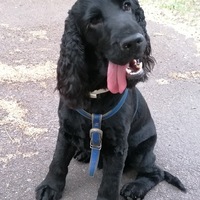 Оксана Тимакова |