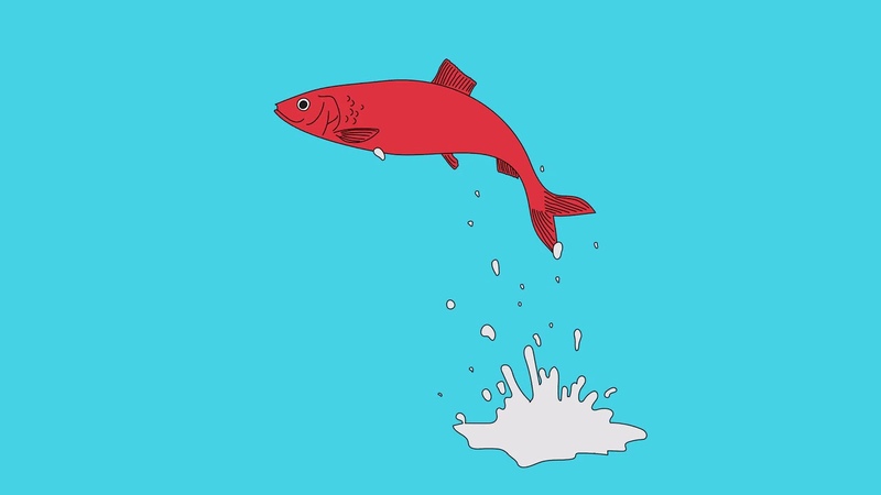 Hala Red Herring ( Official Audio