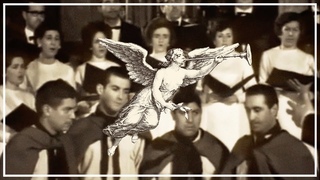Gloria - Philippe Cohen Solal ft. Los Calchakis (Video)