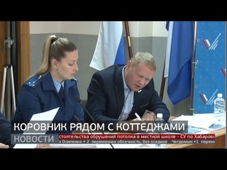 Коровник рядом с коттеджами. Новости. 11/10/2019. GuberniaTV