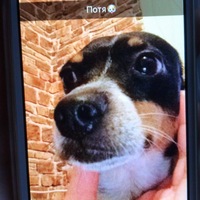 Любовь Комолова |