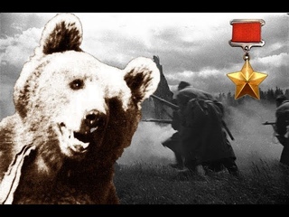 ПОЛЬСКИЙ БОЕВОЙ МЕДВЕДЬ - Wojtek the Soldier Bear - The bear that went to war