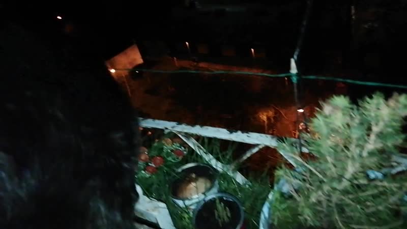 ЛУНА КАК КОЛОБОК ЖЁЛТАЯ ПОЧТИ КАК НА КАВКАЗЕ НА РОДИНЕ ТАМ