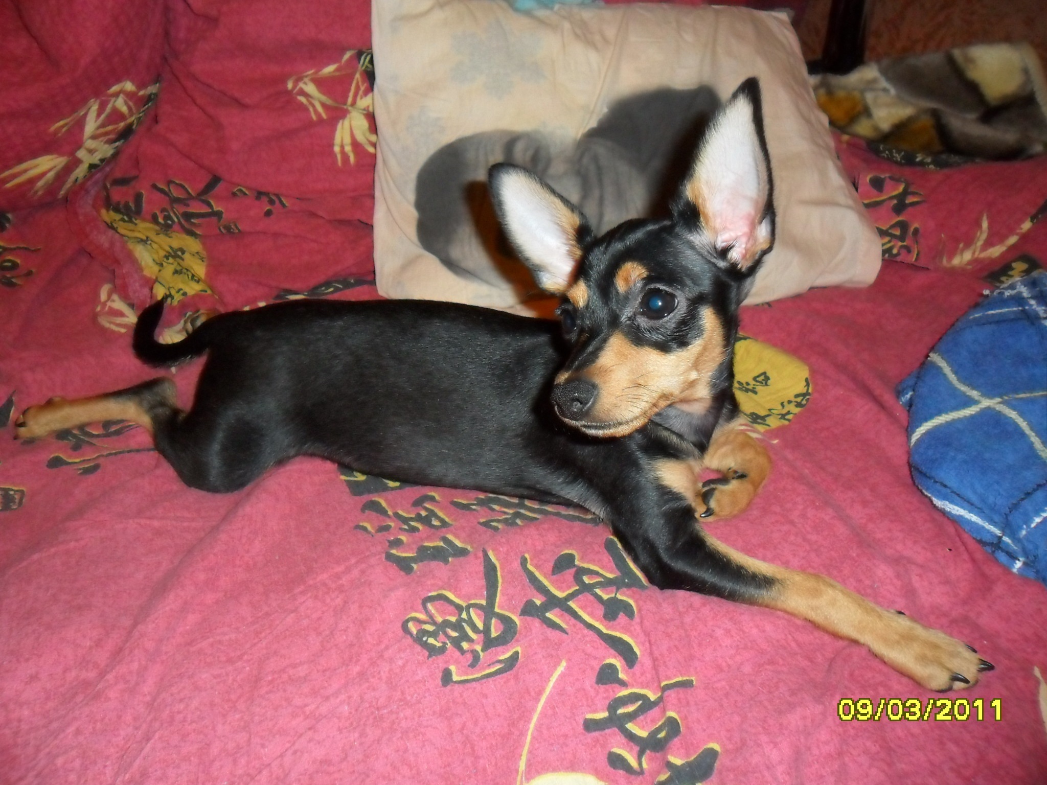 Фото профиля