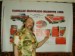 Владимир Пупков фотография #11