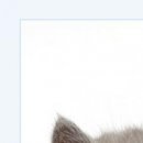 №67, Андрей Иванов, 13.04.1996 №67, Андрей Иванов, 13.04.1996