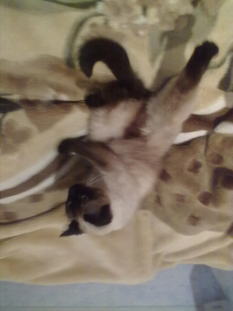 Алексей Фёдоров | Санкт-Петербург