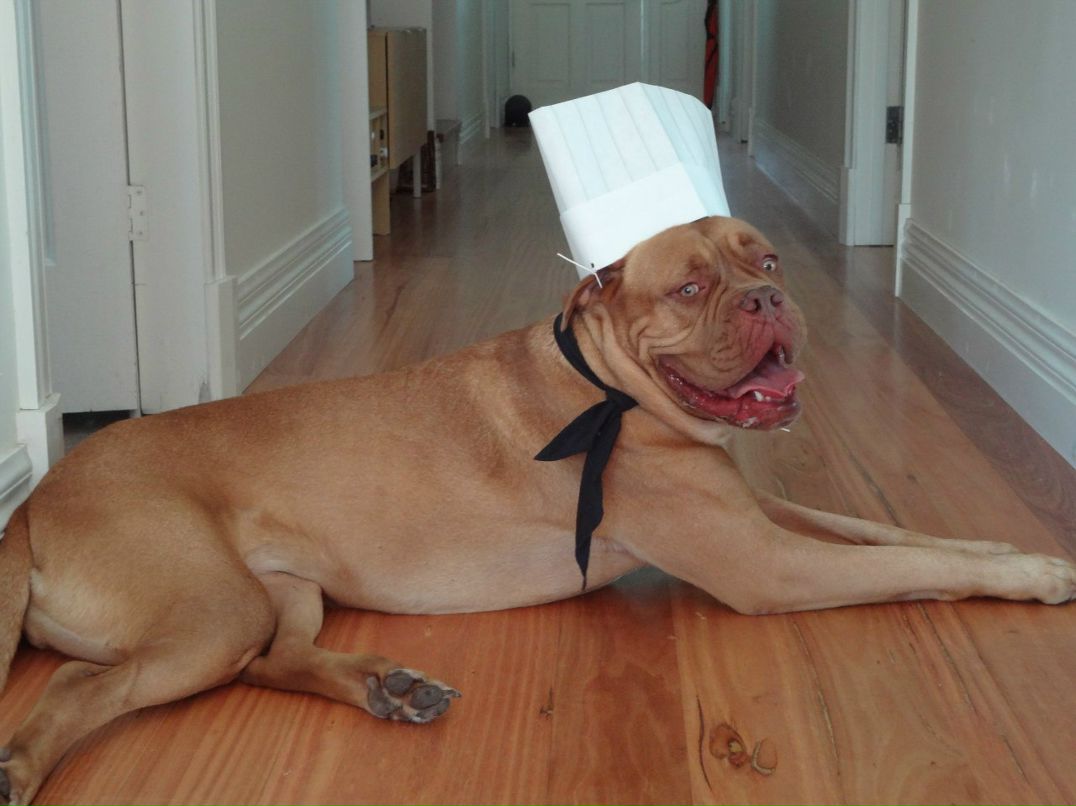 Светлана Сушко | Melbourne