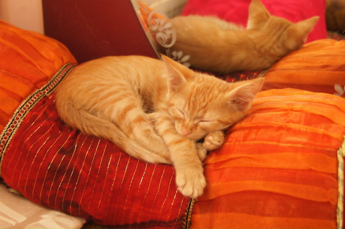 Ольга Андреева | Москва