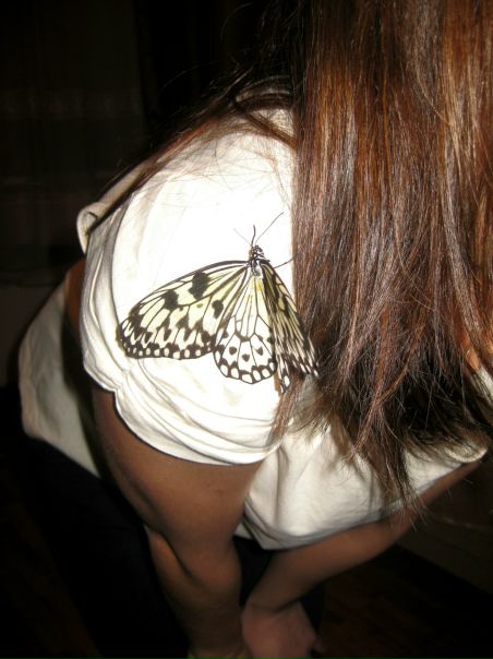 №80, Маша Квернадзе №80, Маша Квернадзе