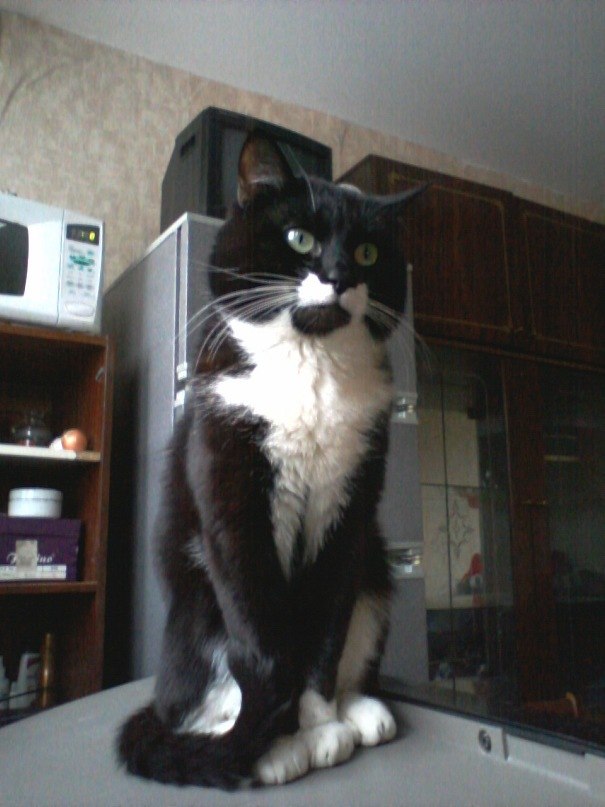 Олька Масик | Санкт-Петербург