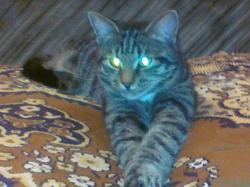 Оксана Исаева | Оренбург