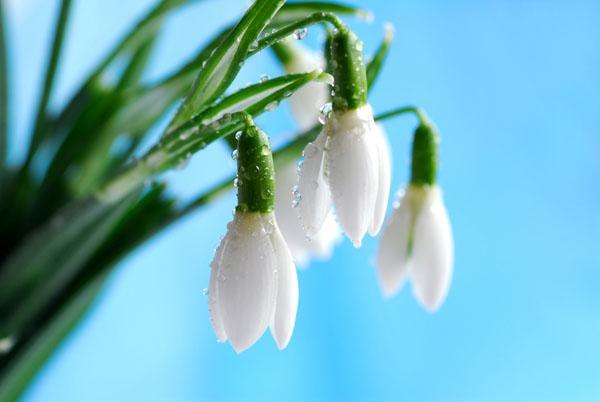 Мирослава Пиляк | Львов