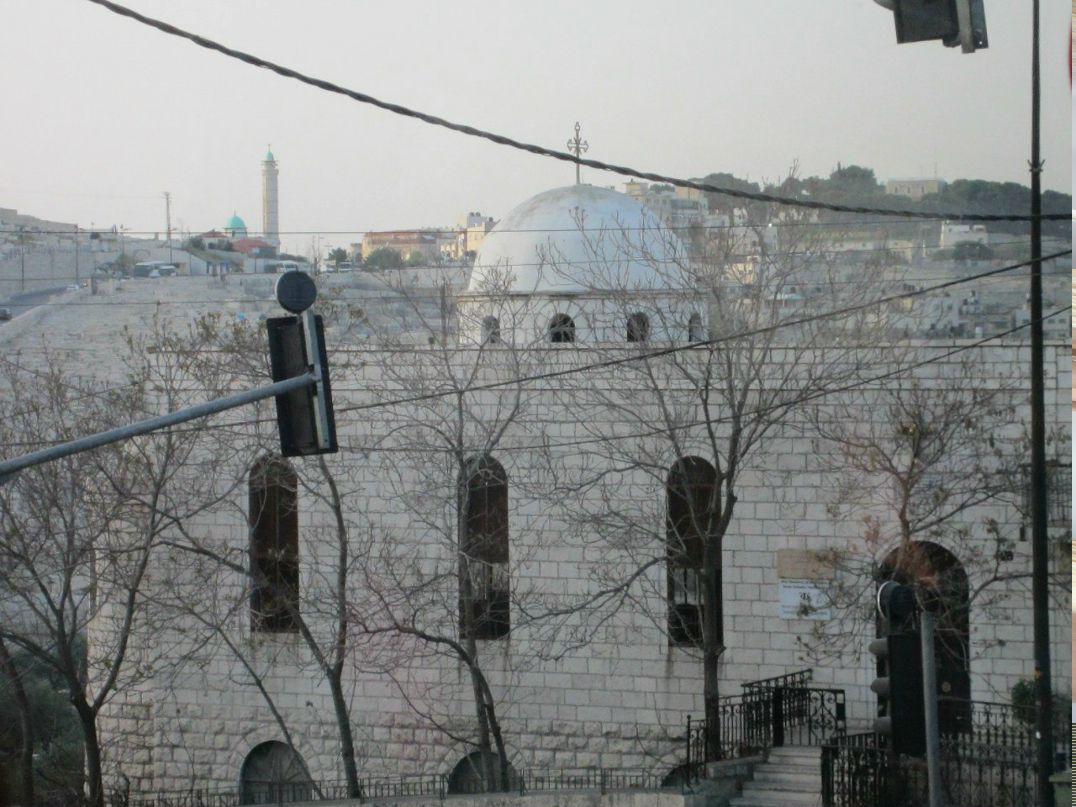 Алёна Харина | Вологда