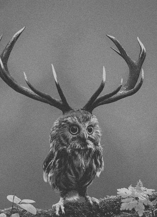 Анна Чудинович | 