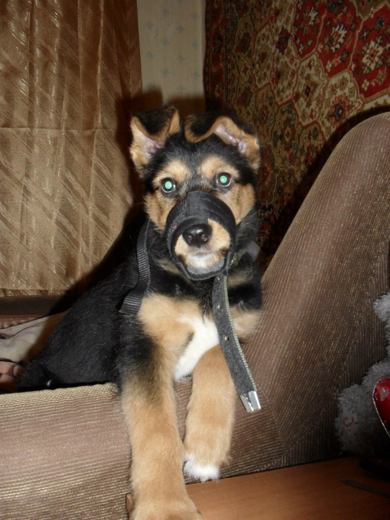 Виталия Кононова | Видное