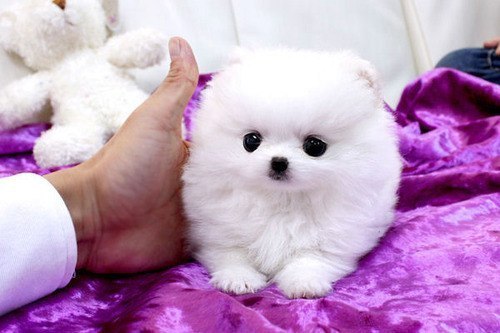 Анастасия Ларина | Чебоксары