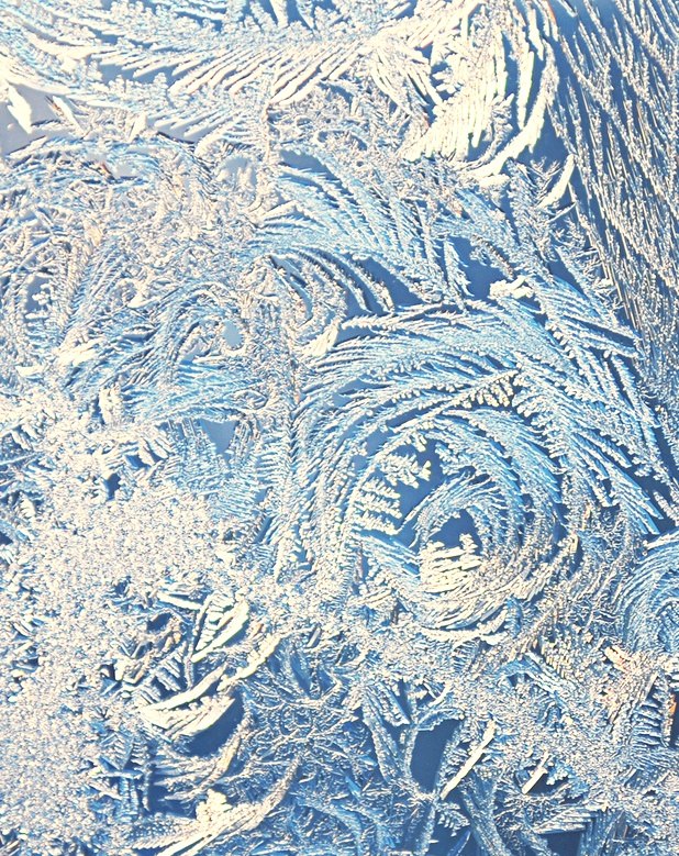 Евгения Халтурина | Йошкар-Ола