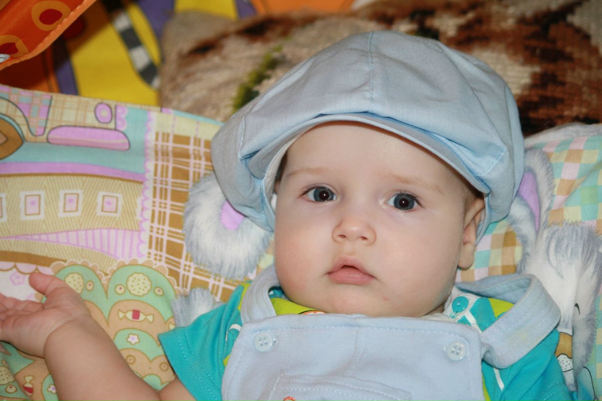 Елена Жаркова | Вологда