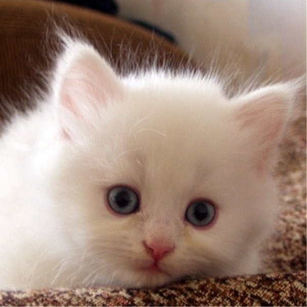 Ксюша Миненкова | Харьков