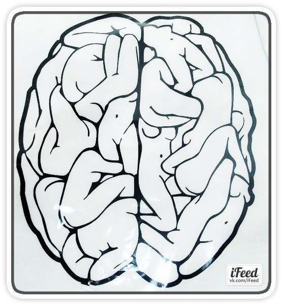 Роман Сеньків | 