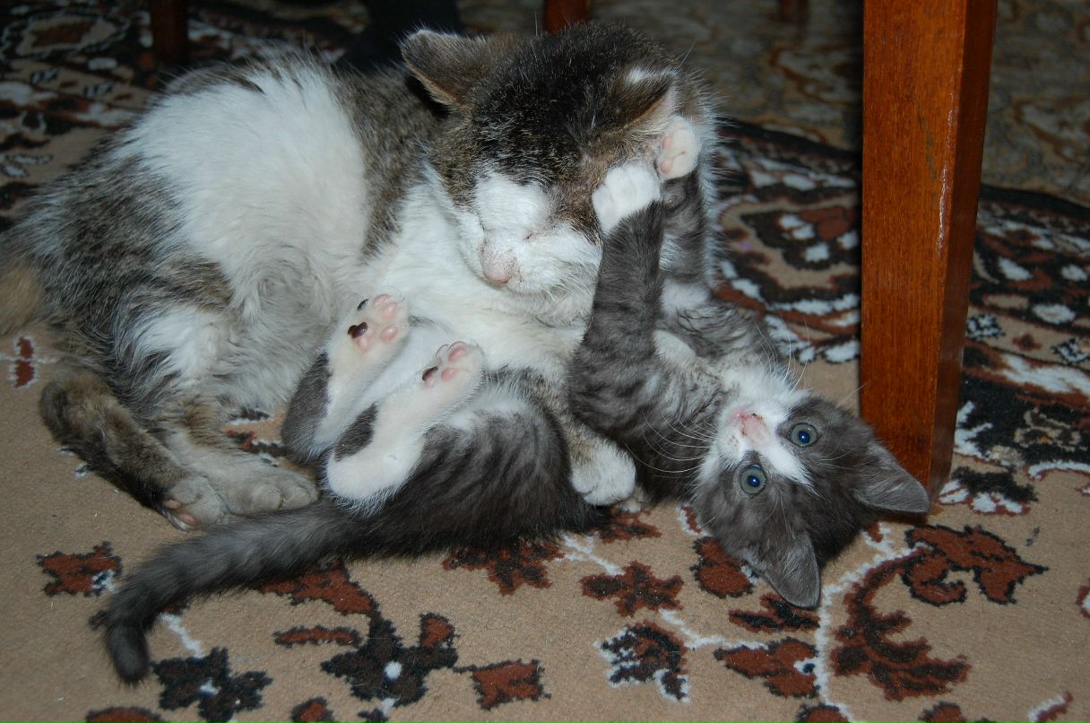 Дарья Куманикина | Москва