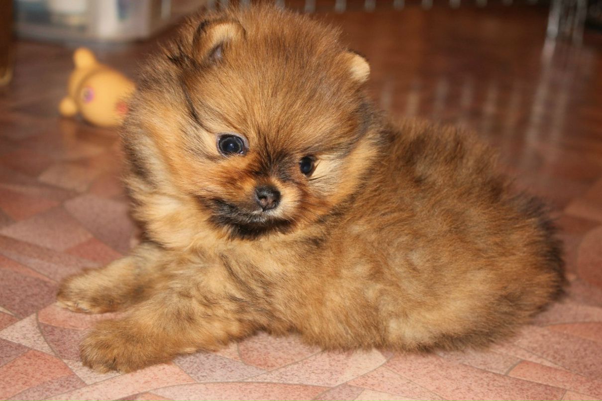 Мария Власенкова | Санкт-Петербург