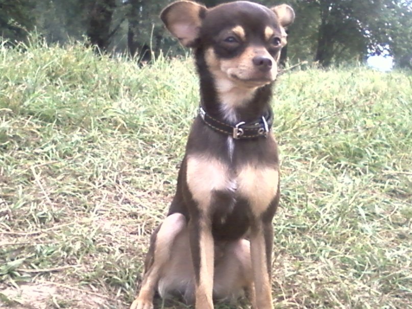 Ольга Краснова | Новочебоксарск