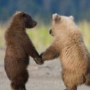 №38 Мария Колодзейская 12.06: профиль, фото, статус - ВКонтакте