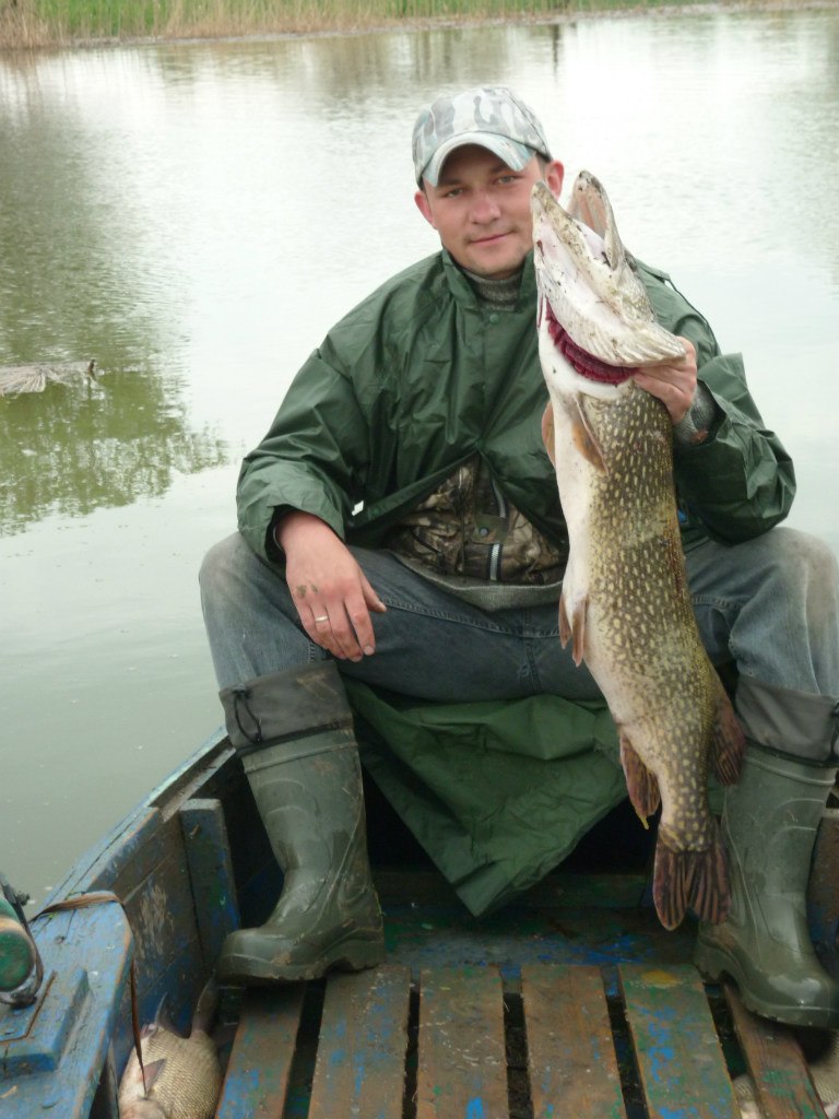 Александер Кузьминский | Воздвиженское