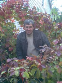 Андрей Прохоров