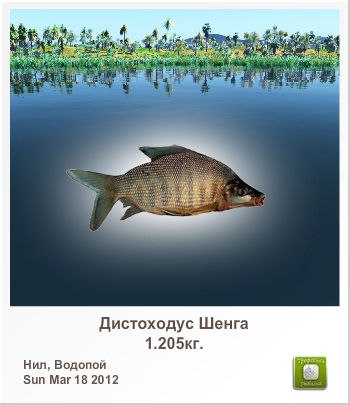 Сергей Нарута | Минск