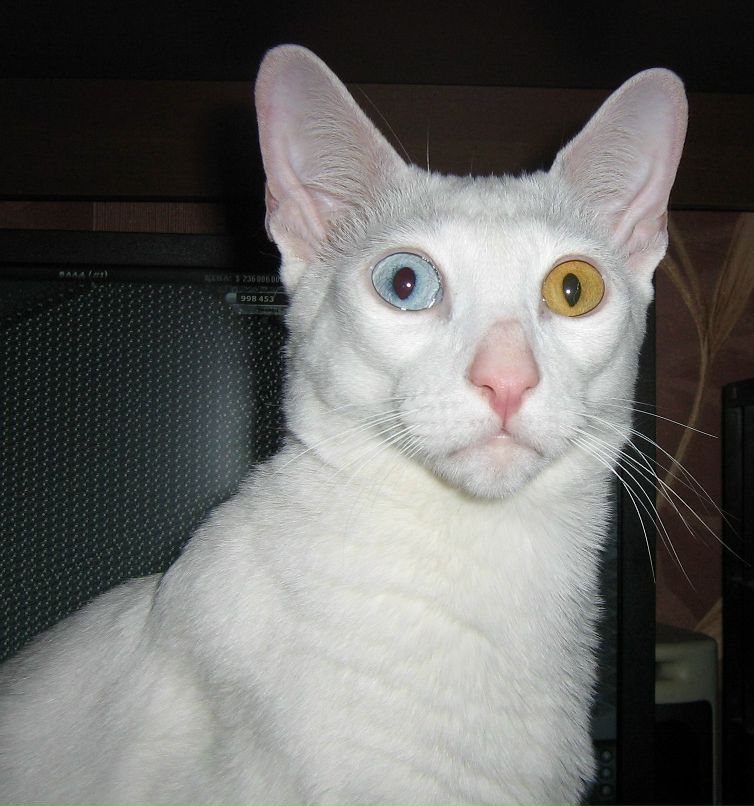 Елена Андреева | Москва