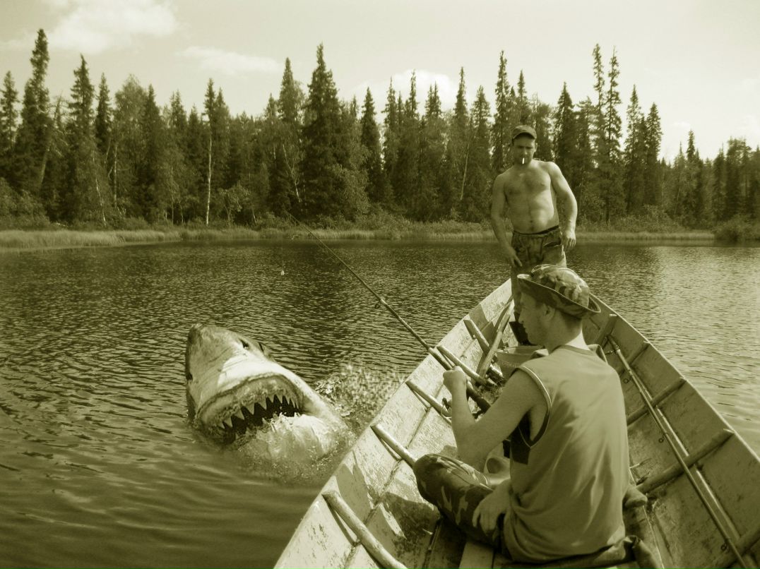 Даниил Сапега | 