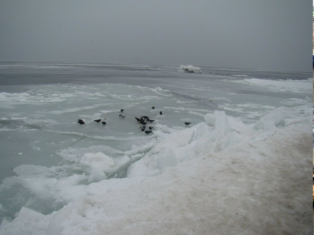 Ирина Сандул | Одесса