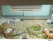 Александра Голубева фотография #35