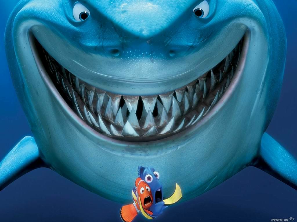 Денис Кордас | Калининград