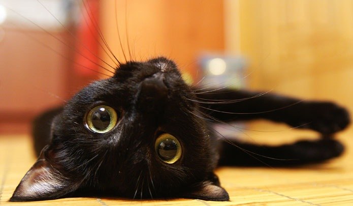 Ольга Бочарова | Харьков