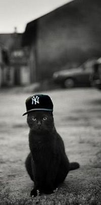 №27, Роман Борняков, 36 лет, Екатеринбург №27, Роман Борняков, 36 лет, Екатеринбург